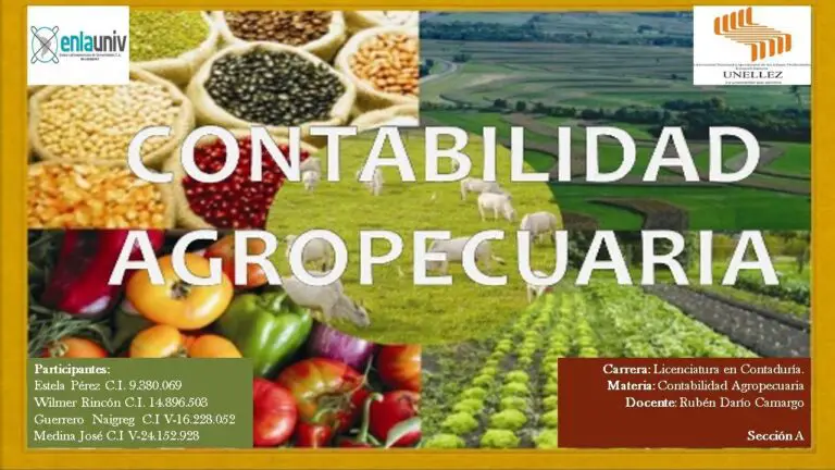 Gestiona tus finanzas: Consejos de contabilidad para empresas agropecuarias