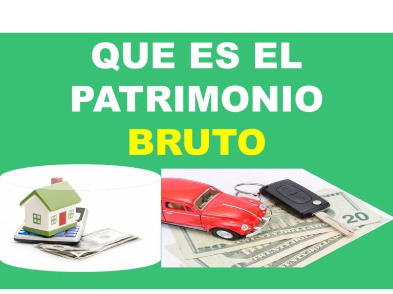 Aprende qué es el patrimonio bruto en contabilidad en solo 5 minutos