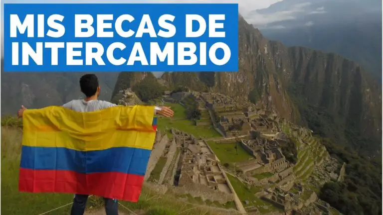 Aprovecha las becas para estudiar contabilidad y alcanza tus metas