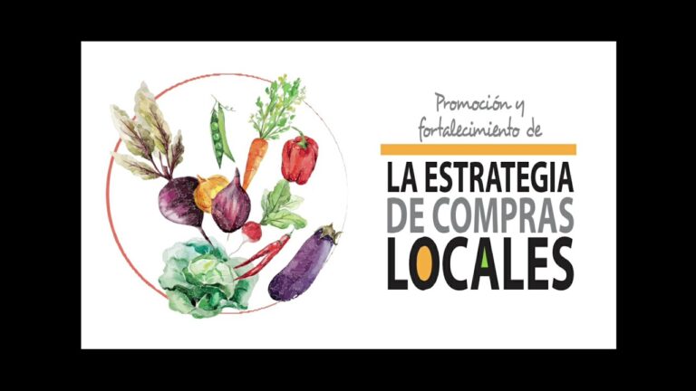 Contabilidad para compras locales: Cómo llevar un control efectivo.