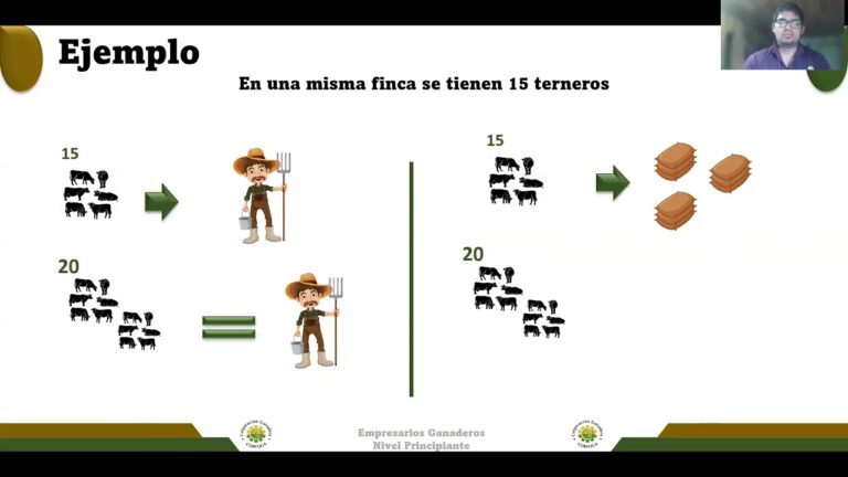 Aprende sobre contabilidad ganadera con estos ejemplos imprescindibles