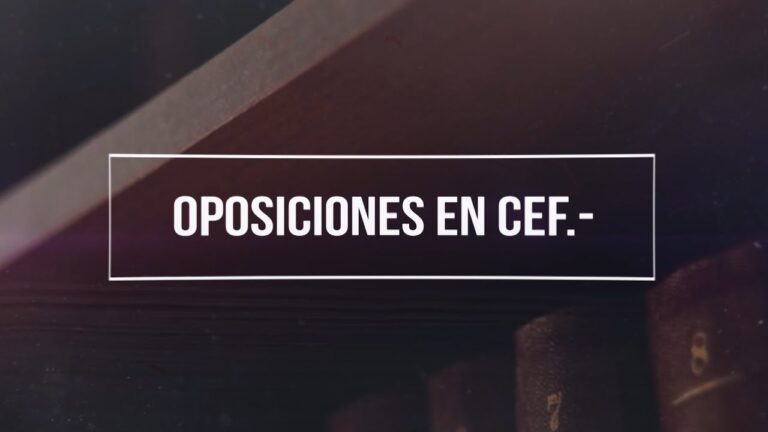 Técnico de seguridad social especializado en auditoría y contabilidad ¡Descubre sus funciones!