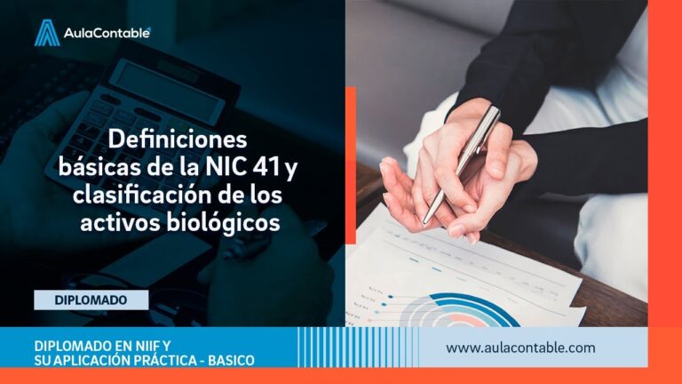 Descubre las 41 normas internacionales de contabilidad &iexcl;Imprescindibles para tu negocio!